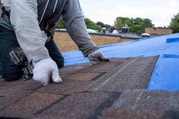 Best Roof Gutter Cleaning  in Mitchell, IN